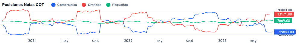 Resumen de Posiciones Netas del Compromiso de los Operadores